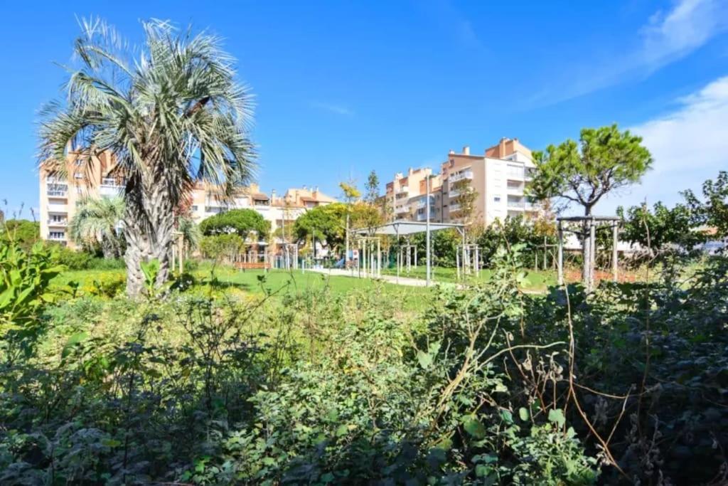 Apartment Port Confort Terrasse/parking Prive Hyeres